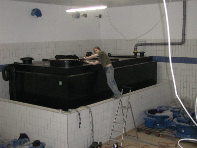 Wikutec .::. KunststoffMontage.::. Erkerm&uuml;hle